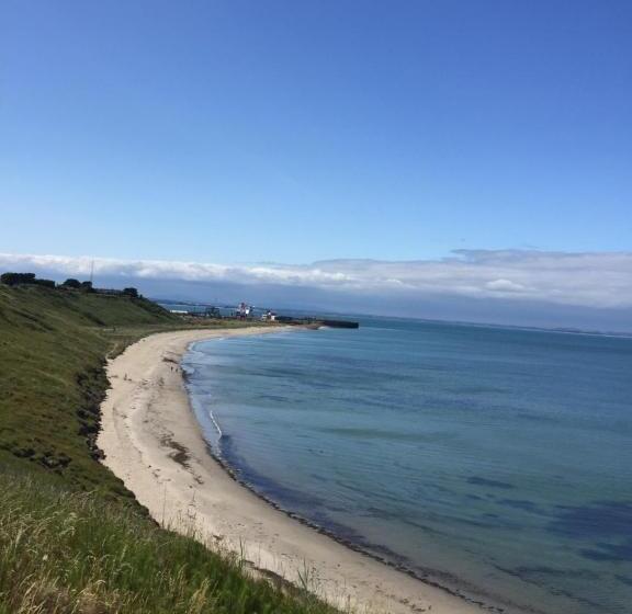 住宿加早餐 Padua Guest Accommodation Rosslare