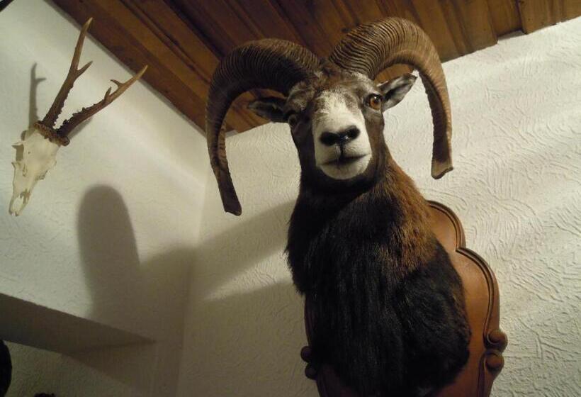 צימר Pension Herzoggut