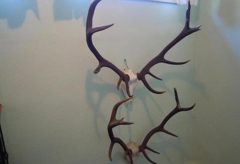 צימר Pension Herzoggut