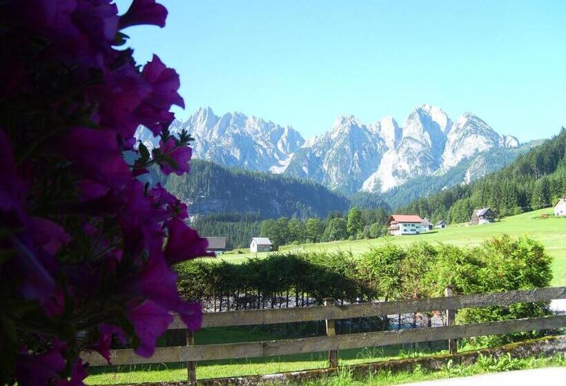 تختخواب و صبحانه Privatpension Gosaukammblick