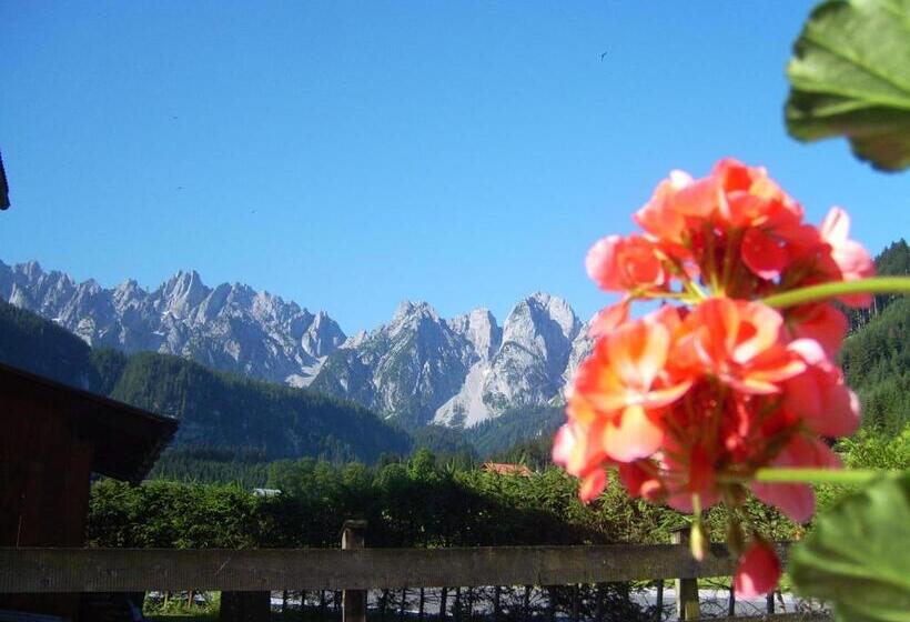 تختخواب و صبحانه Privatpension Gosaukammblick