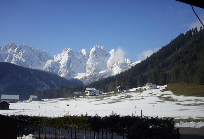 تختخواب و صبحانه Privatpension Gosaukammblick