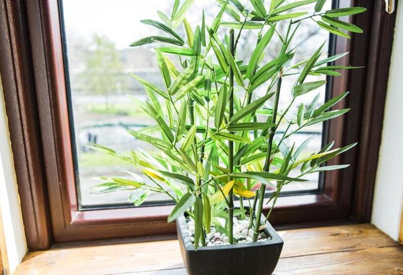 צימר Tipperary House Dublin