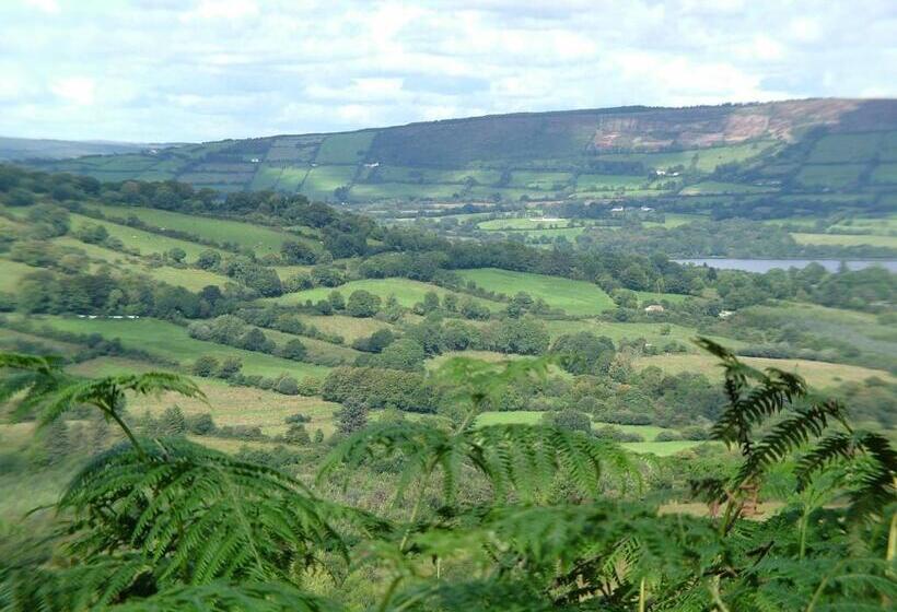 Clareville House B&b