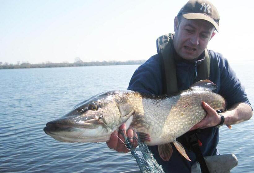 Clareville House B&b