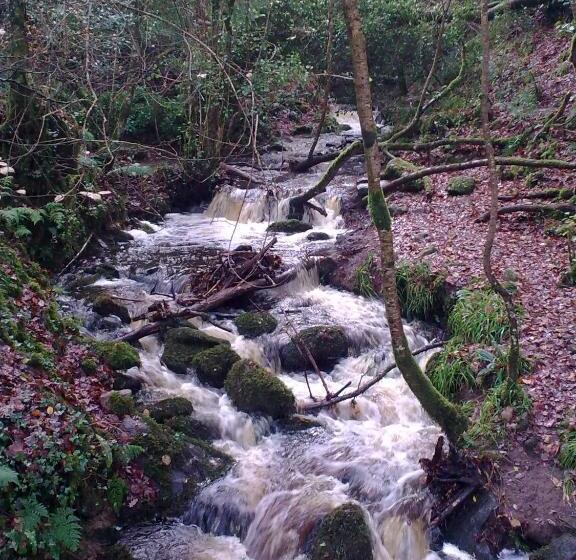 Clareville House B&b