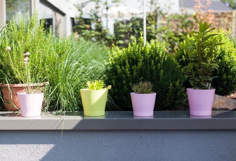 Durbuy ô Restaurant Hotel Recharge Electric Car