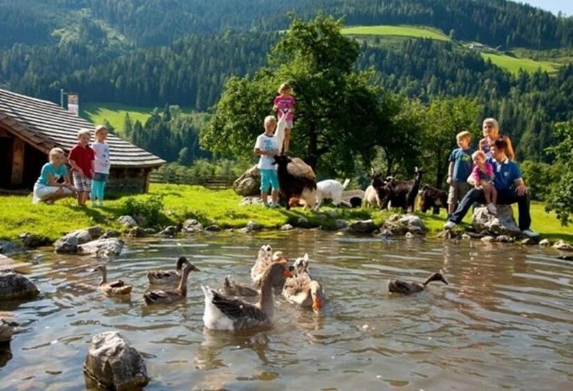 فندق Alpenrose Mühlbach Am Hochkönig