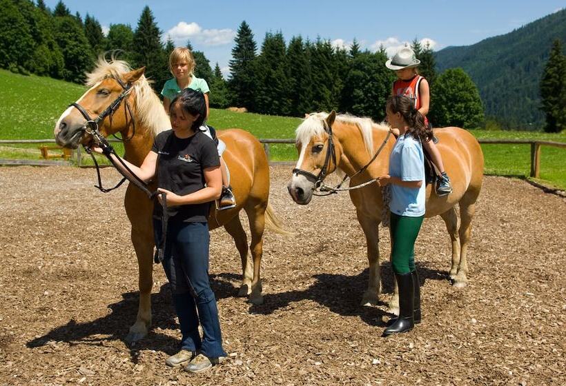 בית מלון כפרי Alpenrose Mühlbach Am Hochkönig
