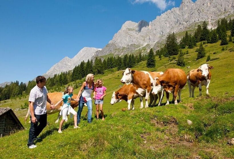 فندق Alpenrose Mühlbach Am Hochkönig