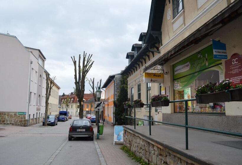 בית מלון כפרי Austria