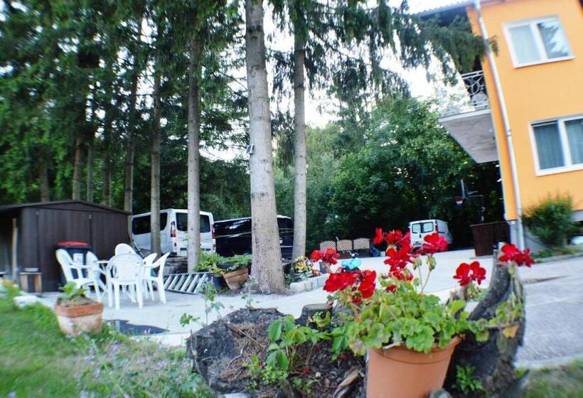 בית מלון כפרי Austria