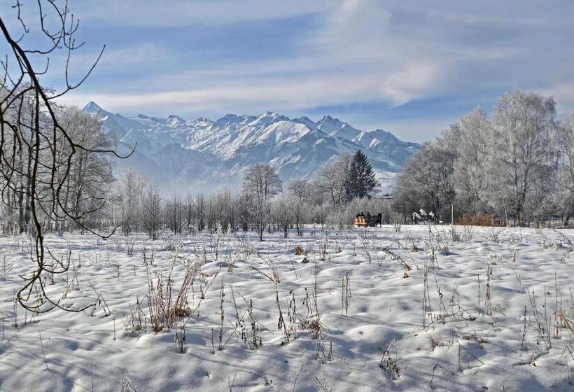 בית מלון כפרי Dahoam By Sarina Rooms & Suites