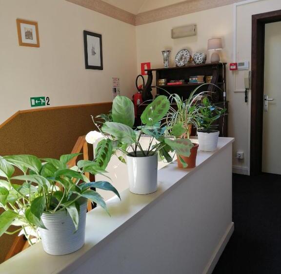 فندق De Pastorij