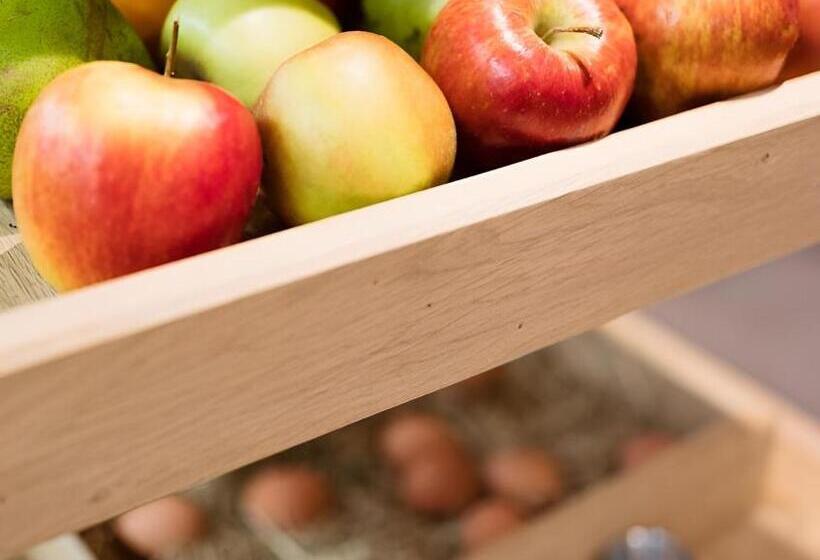 בית מלון כפרי De Zeebries Budget