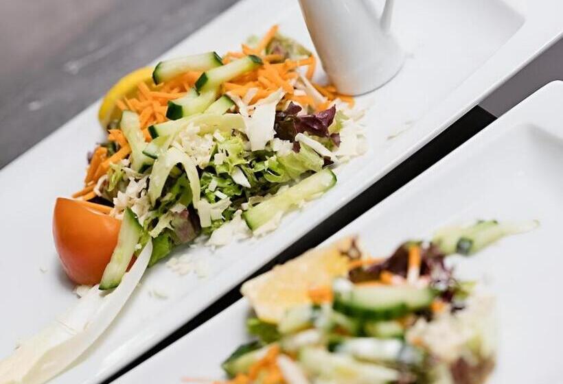 בית מלון כפרי De Zeebries Budget