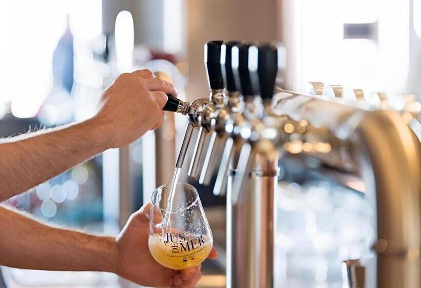 בית מלון כפרי De Zeebries Budget