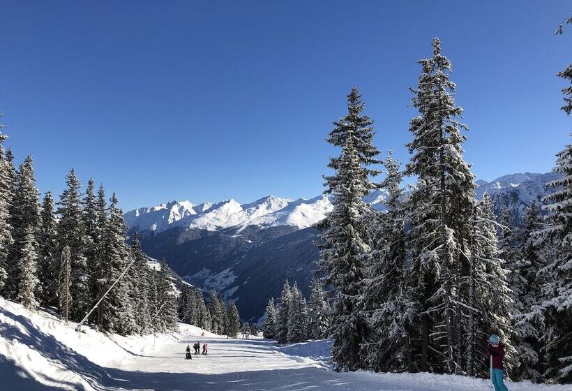 ホテル Garni Central Zimmer Studios Apartments