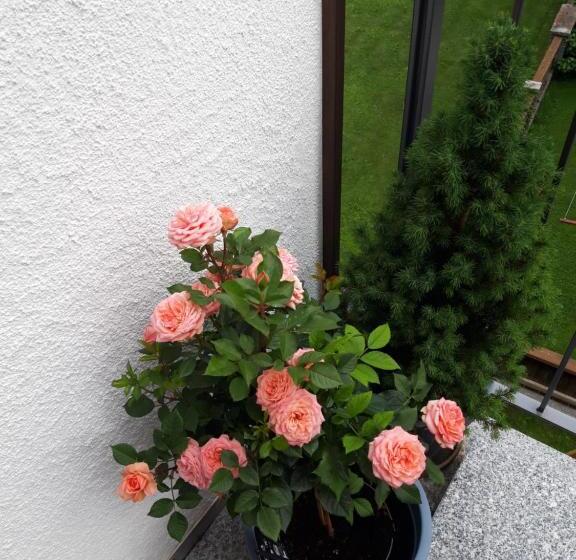 호텔 Garni Maria Theresia