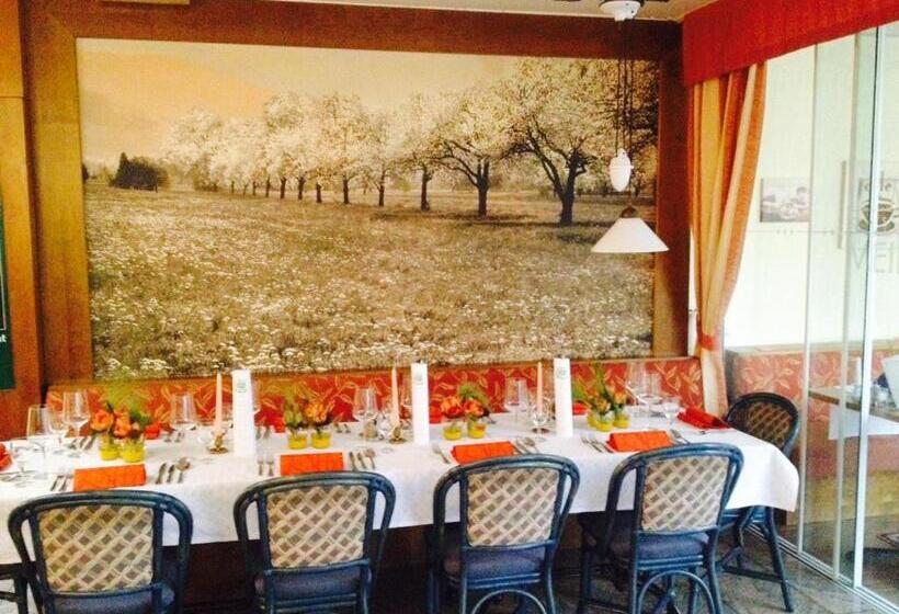 فندق Gasthof Meindl