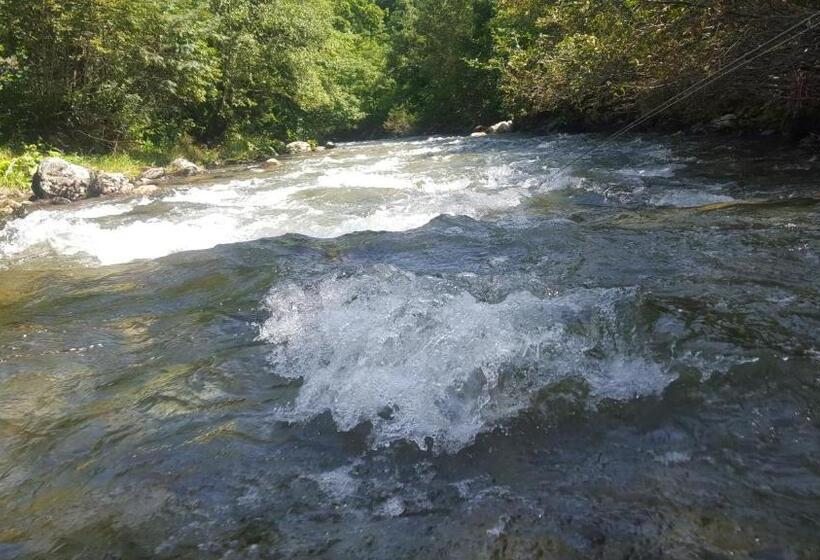 בית מלון כפרי Gasthof Zur Gams