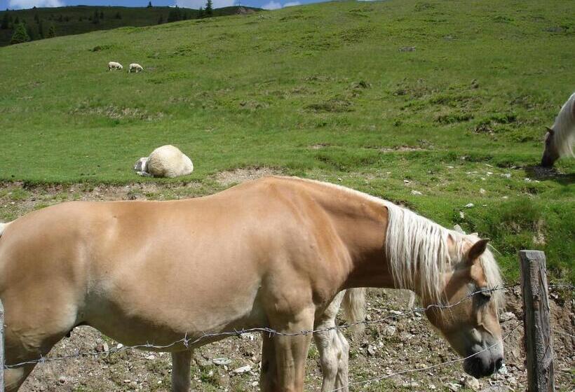 בית מלון כפרי Lammwirt