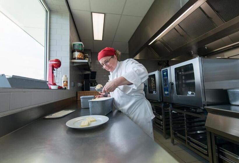 酒店 Middelpunt Gratis Parking Ontbijt Inbegrepen!