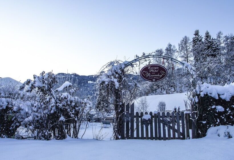 ホテル Rosenhof Murau