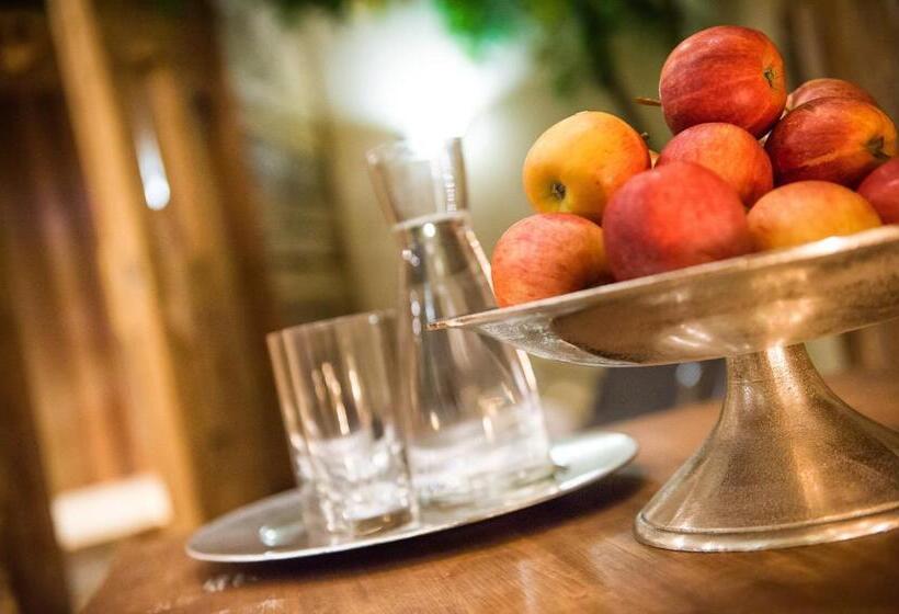 ホテル Salzburgerhof