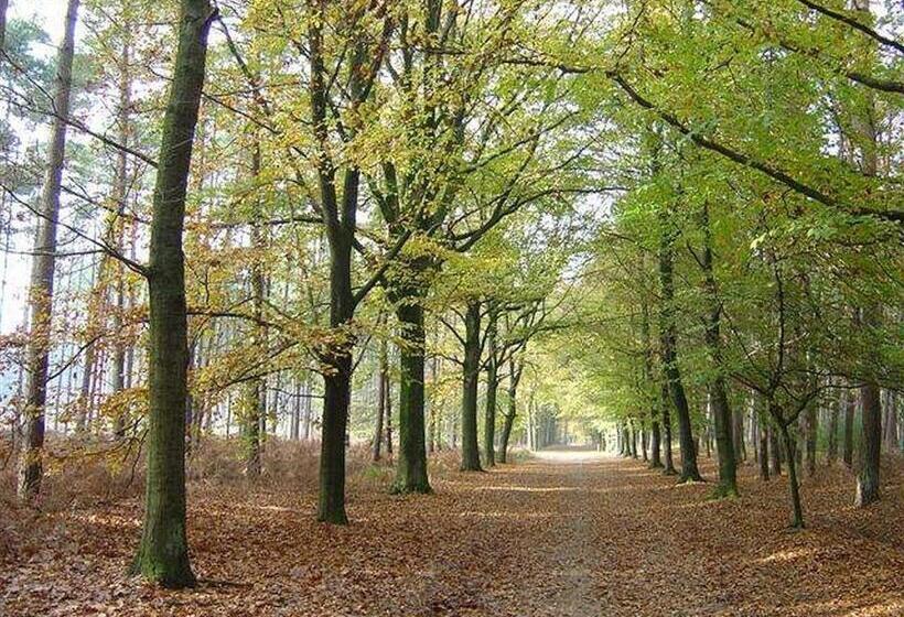 Boutique Hotel Shamon