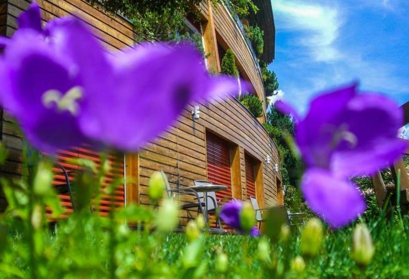 ホテル Sonnenheim