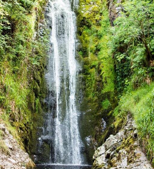 בית מלון כפרי The Harbour Inn