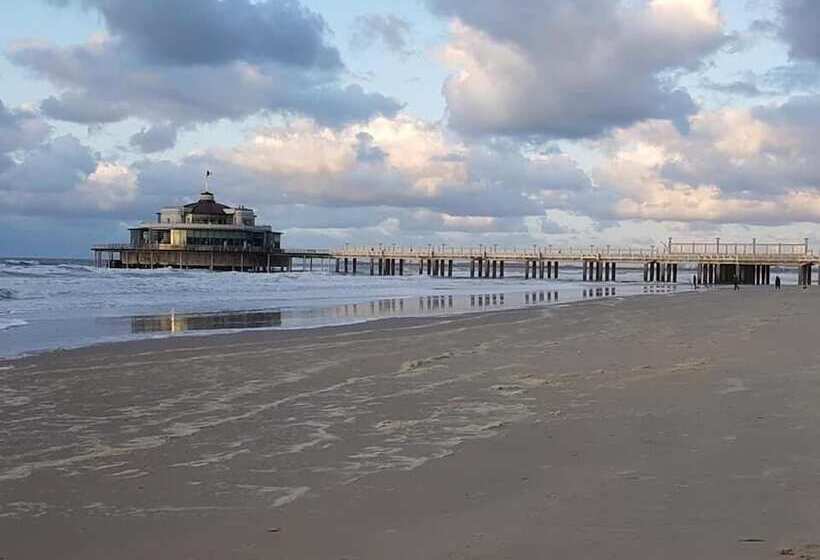 Отель Tropicana