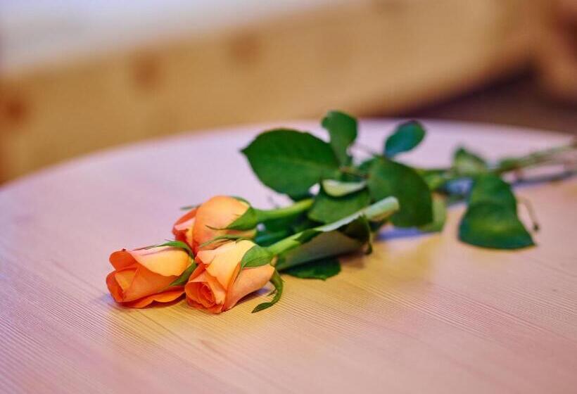 酒店 Venter Bergwelt