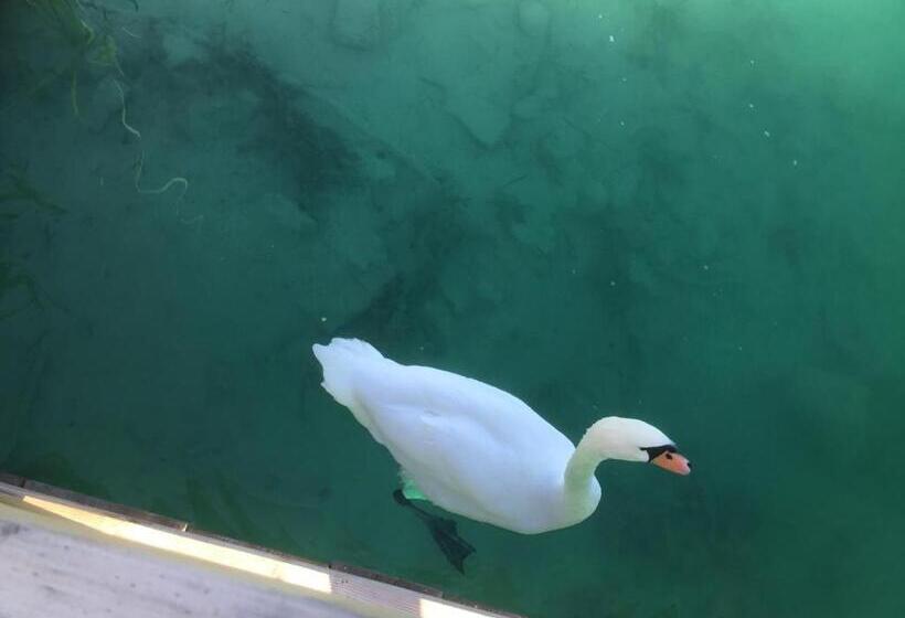 호텔 Villa Auguste