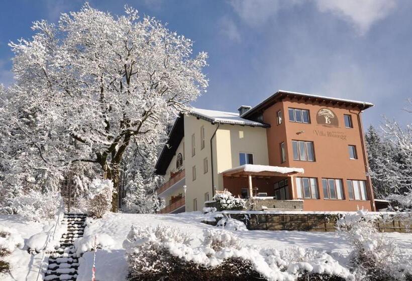 فندق Villa Blumegg