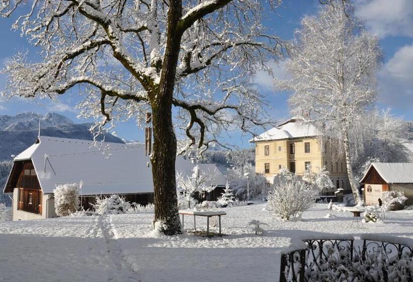 فندق Villa Blumegg