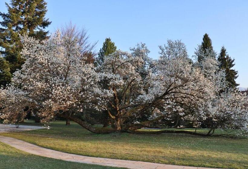 酒店 Villa Konstanze