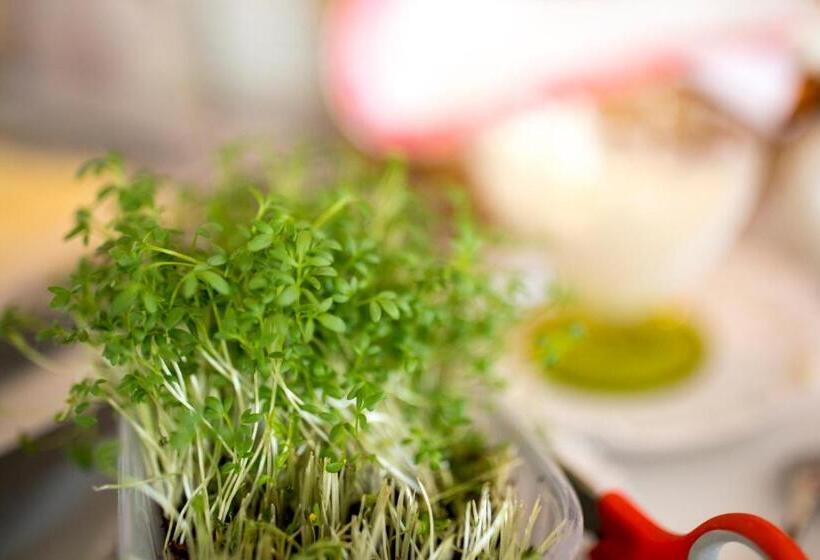 هتل Villa Konstanze