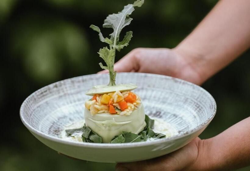 酒店 Vitalquelle Montafon