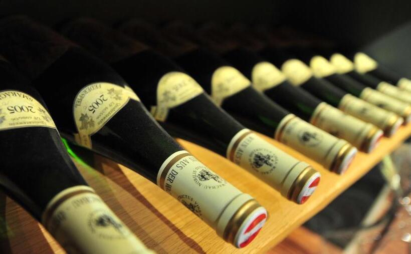 Appartement Hotel Gh Zum Goldenen Schiff