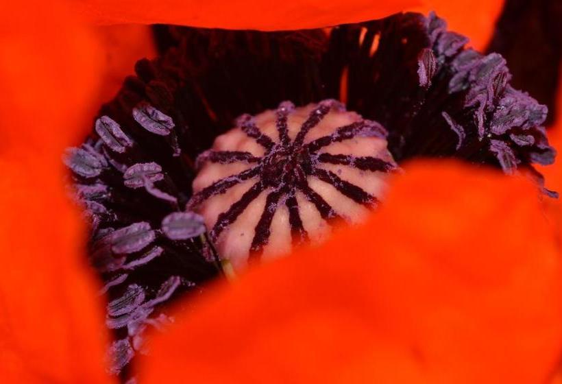 Kilcommon Lodge Holiday Hostel