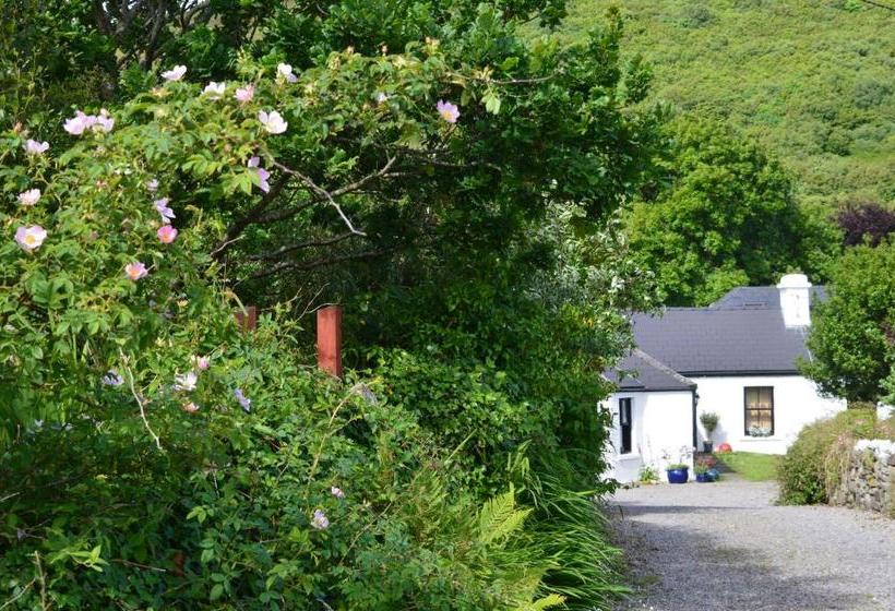 Kilcommon Lodge Holiday Hostel