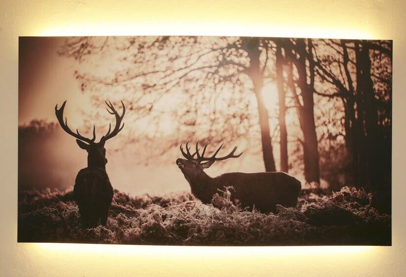 Lake And Cityhotel Edelweiss   Self Check In