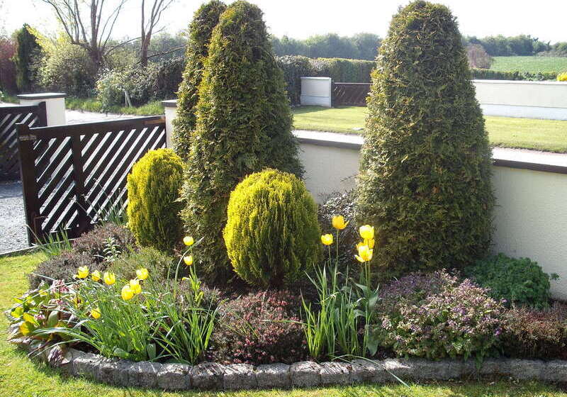 Maryville Bed And Breakfast