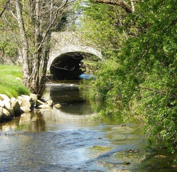 Riverfield Bed And Breakfast