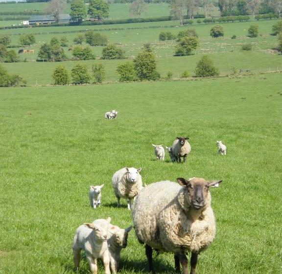 Riverfield Bed And Breakfast