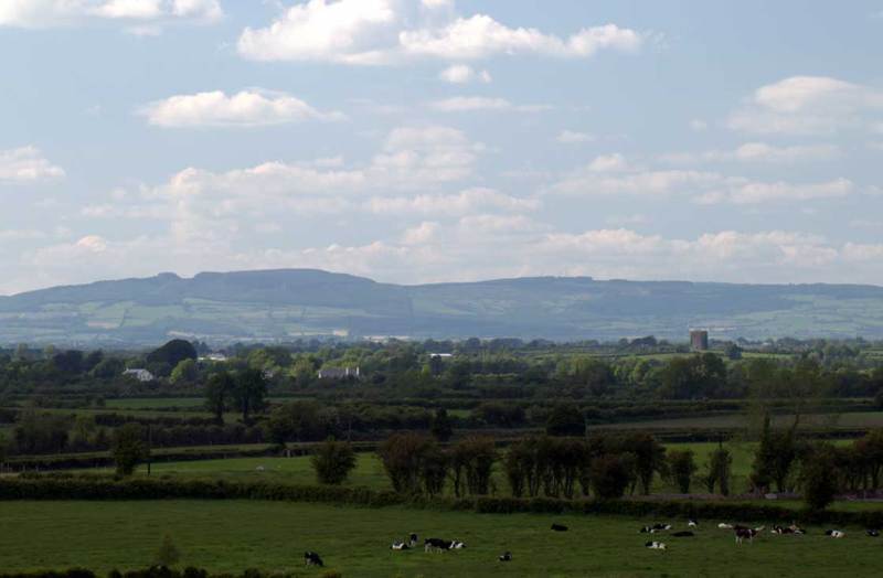 The Castle Country House B&b