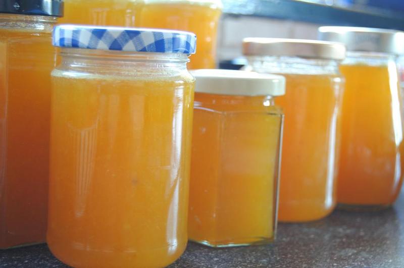 Williamsferry House Bed & Breakfast