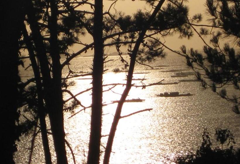 Apartamentos Turisticos Arosa Ogrove